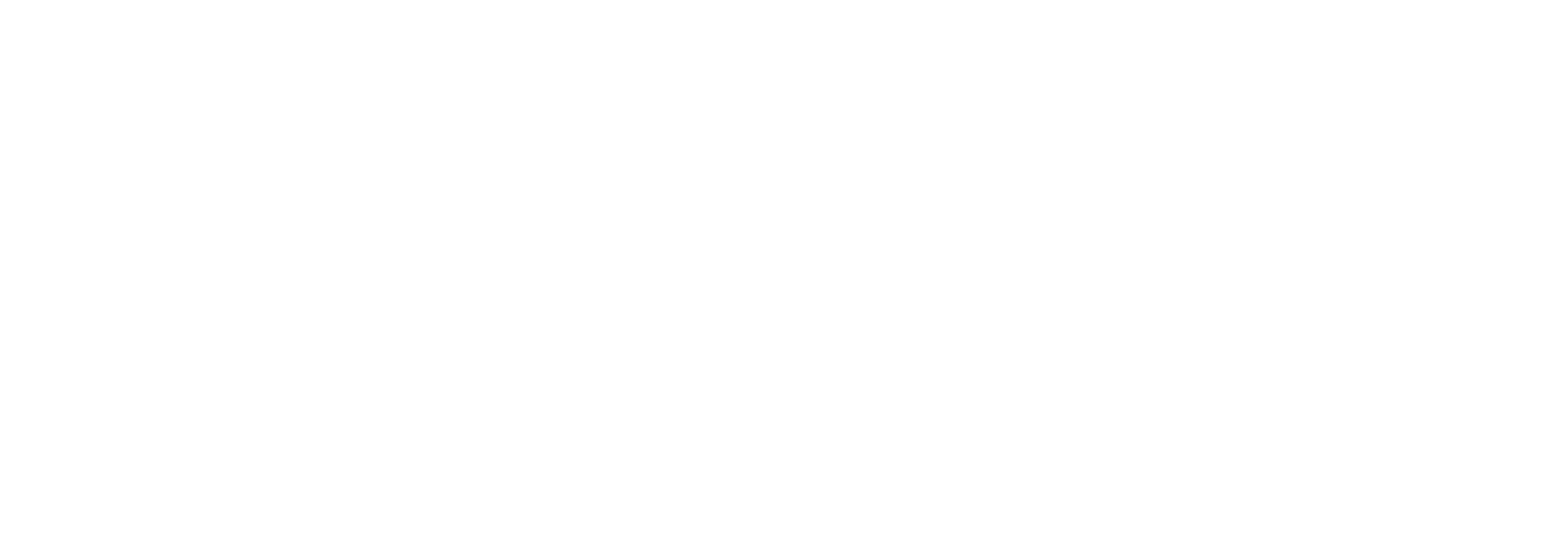 LGMG Chile